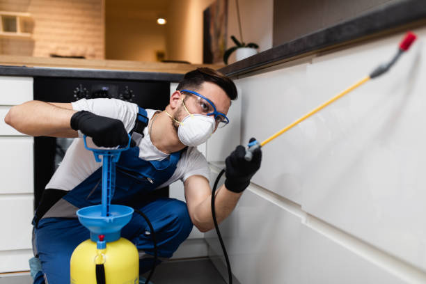 Best Emergency Pest Control  in Blue Grass, IA