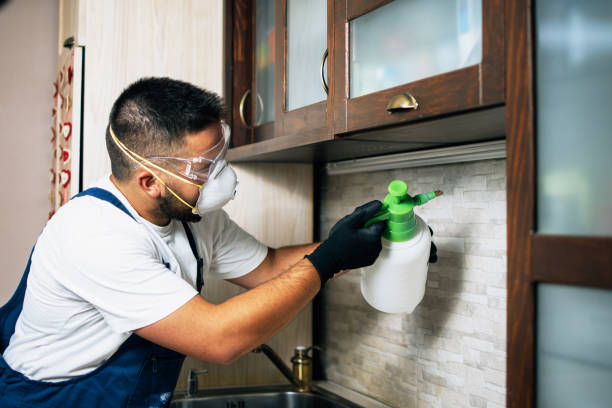 Best Residential Pest Control  in Blue Grass, IA