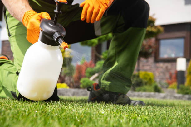 Best Pest Control Near Me  in Blue Grass, IA