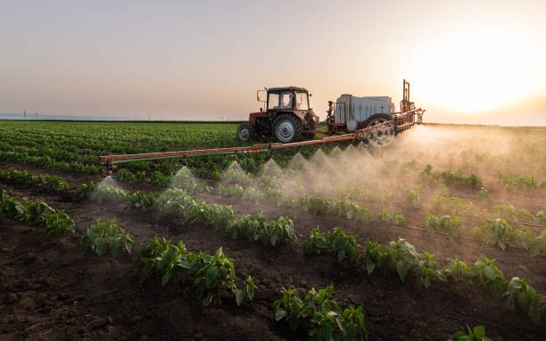 Best Wildlife Control Services  in Blue Grass, IA