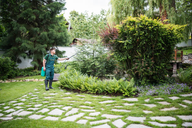 Best Pest Prevention Services  in Blue Grass, IA