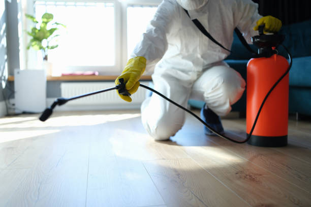 Best Exterminator Services  in Blue Grass, IA
