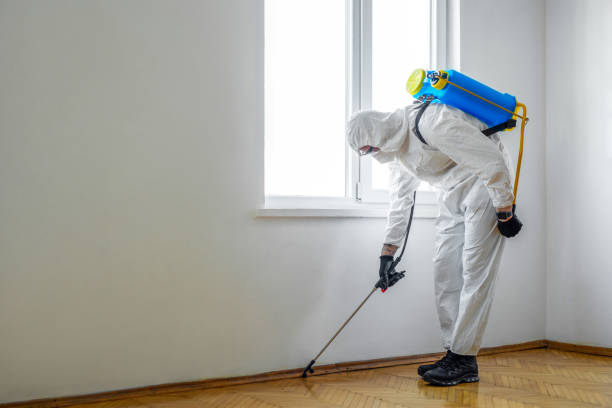 Best Bed Bug Extermination  in Blue Grass, IA
