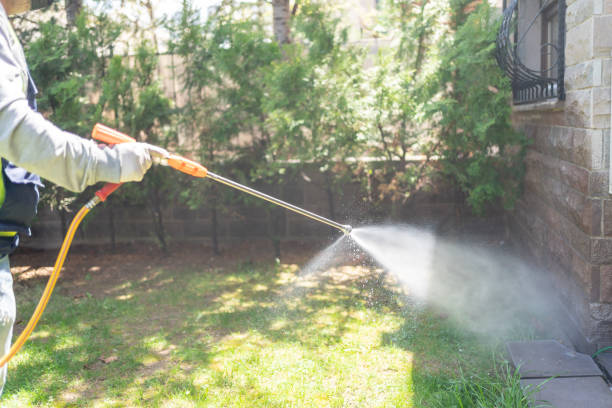 Best Local Pest Control Services  in Blue Grass, IA