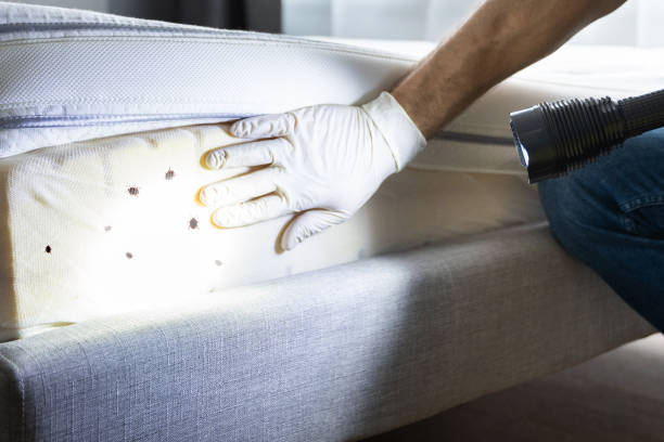 Best Pest Inspection Near Me  in Blue Grass, IA