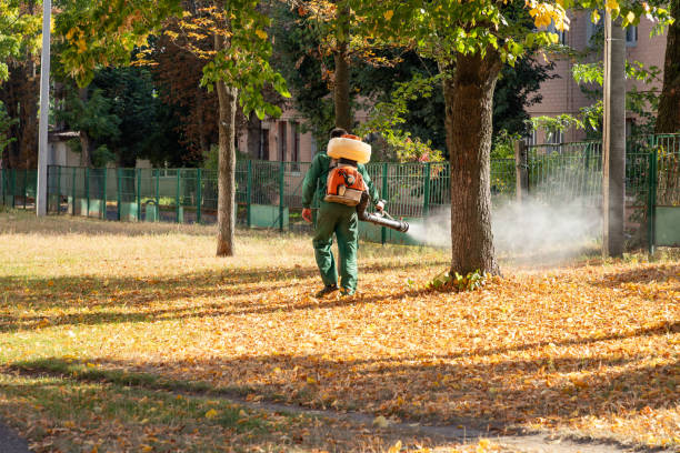 Best Pest Control for Businesses  in Blue Grass, IA
