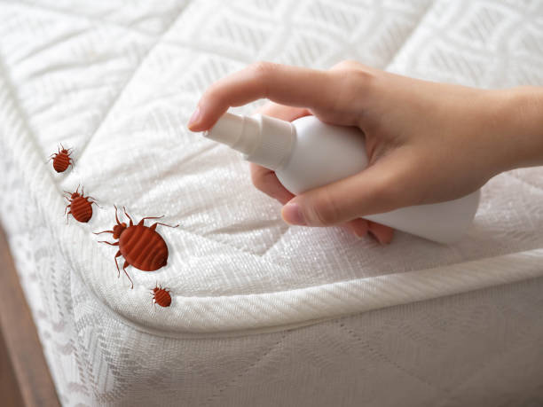 Best Best Pest Control Companies  in Blue Grass, IA